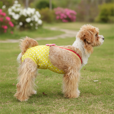 Culotte pour chien | DogProtect.Ra