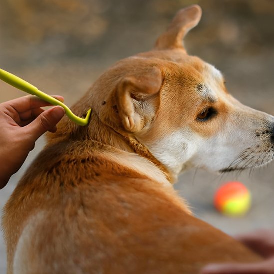 Pince Ă tique facile d'utlisation
