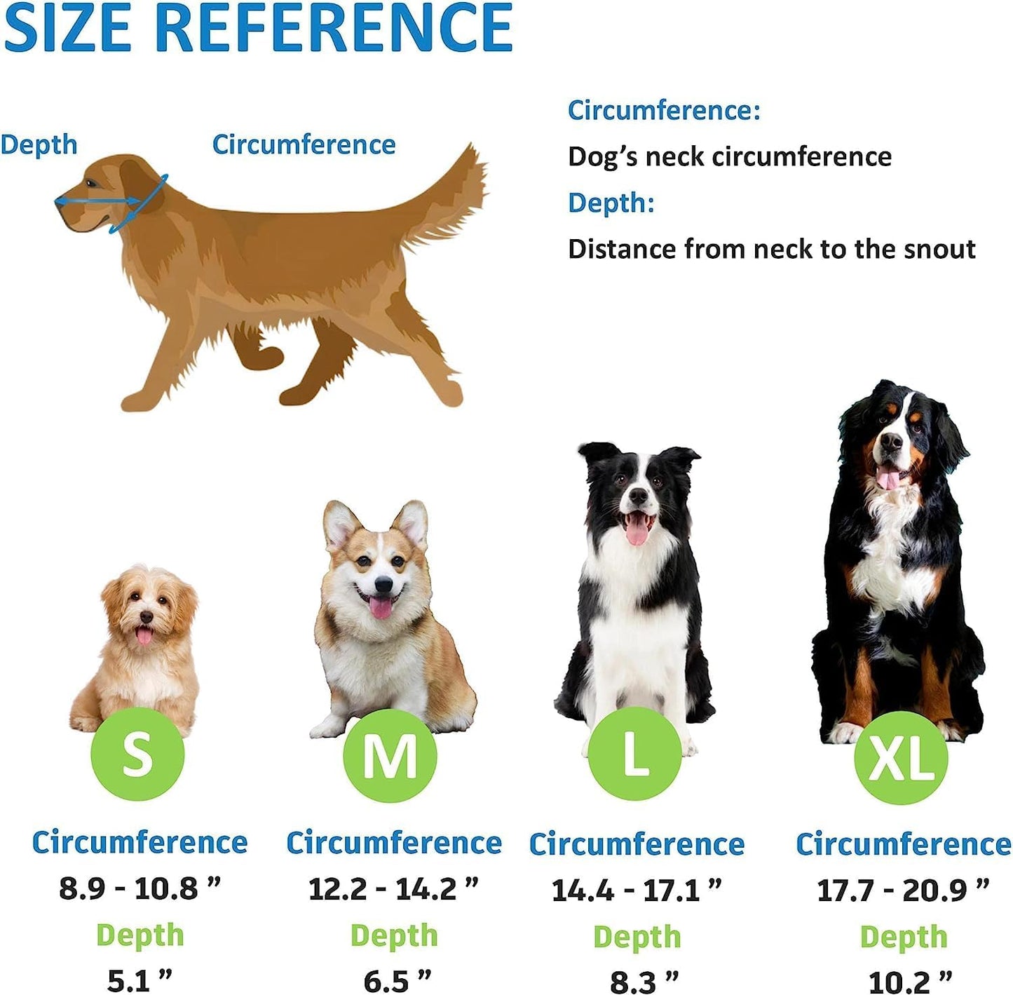 tableau de dimension pour collerette chien
