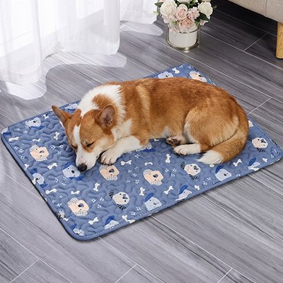 Tapis Chien rafraichissant facile a nettoyer