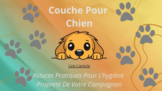Couche Pour Chien : Astuces Pratiques Pour L'hygiène Propreté De Votre Compagnon