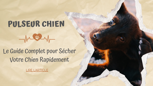 Pulseur Chien | Le Guide Complet pour Sécher Votre Chien Rapidement