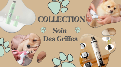 Coupe ongle pour chien