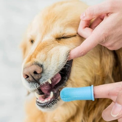 Brosse Pour Chien | DogSoftFingerToothbrush.Ra
