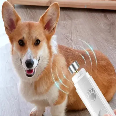 Coupe Ongle Chien - ElectricDogNailGrinder™