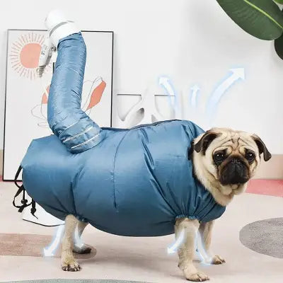 Pulseur pour Chien | DoggyDryerBag.Ra