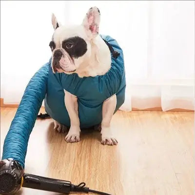Pulseur pour Chien | DoggyDryerBag.Ra