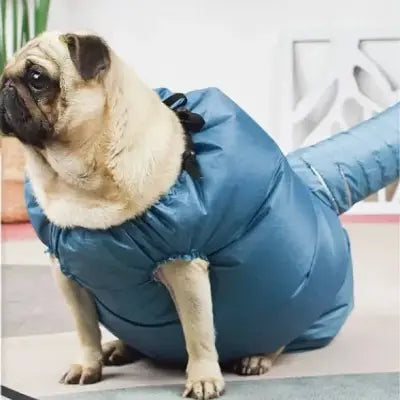 Pulseur pour Chien | DoggyDryerBag.Ra