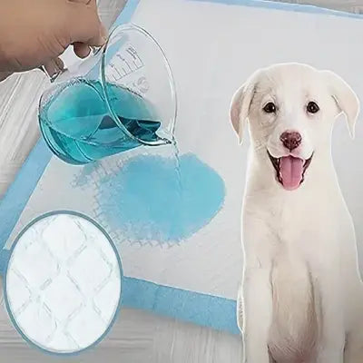 Tapis Absorbant Chien | DogSuperAbsorbentPads.Ra