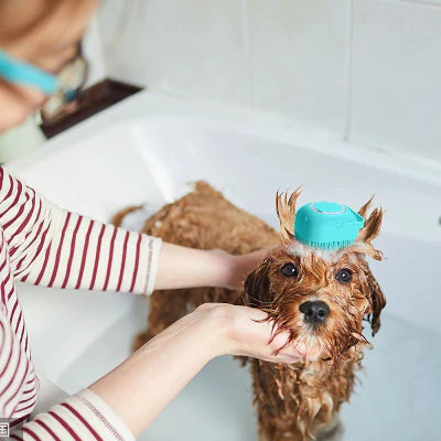 Brosse Chien | PawRelaxShower™