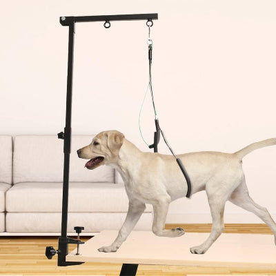 Table de Toilettage pour Chien - GroomArmPro™