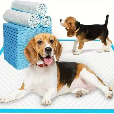 Tapis Absorbant Chien | DogSuperAbsorbentPads.Ra
