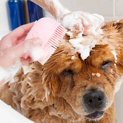 Brosse Chien | PawRelaxShower™