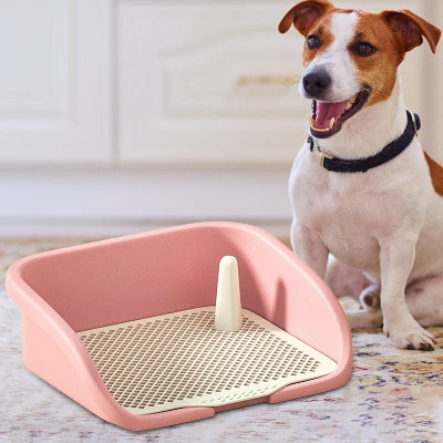 Litiere Pour Chien | NoMessPuppy™