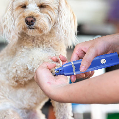 Tondeuse pour Chien | Clip&CleanPro.Ra