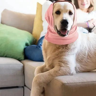 Accessoire chien pouvant servir de cache coup en hiver