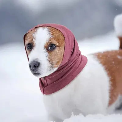 Accessoire chien utile pour cacher les oreilles du froid