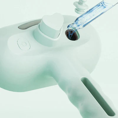 Brosse pour Chien | VapoDetangle.Ra