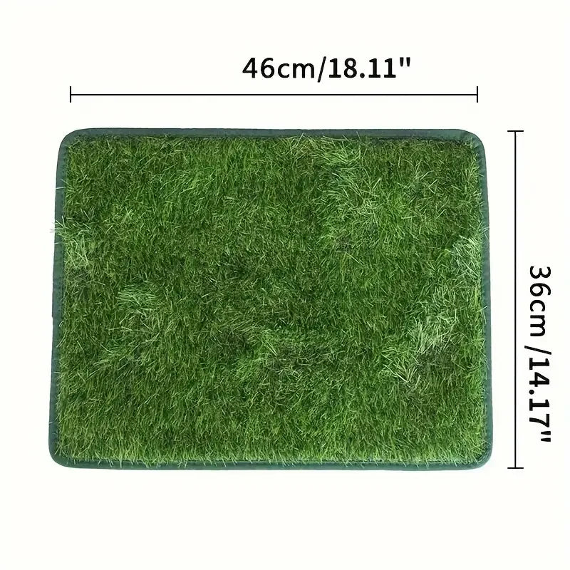 Tapis Chien | PremiumDogMat