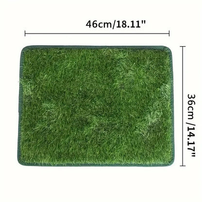 Tapis Chien | PremiumDogMat