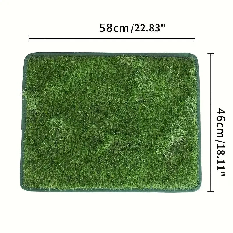 Tapis Chien | PremiumDogMat