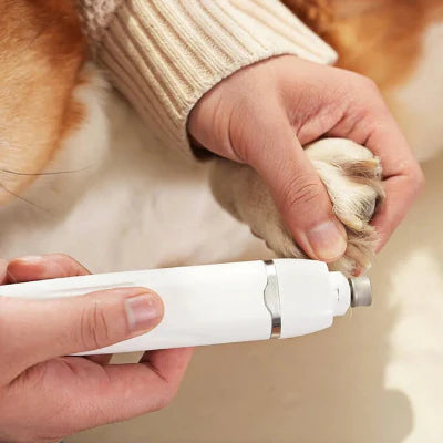 Tondeuse pour Chien | Clip&CleanPro.Ra