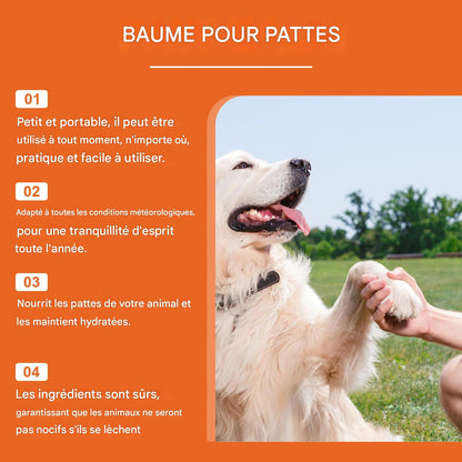 baume coussinet chien et les avantages