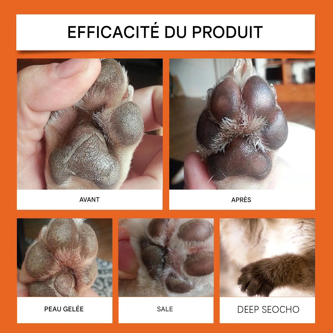 baume coussinet chien les resultats avant apres