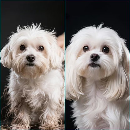 Brosse pour Chien - CleanFurKit™