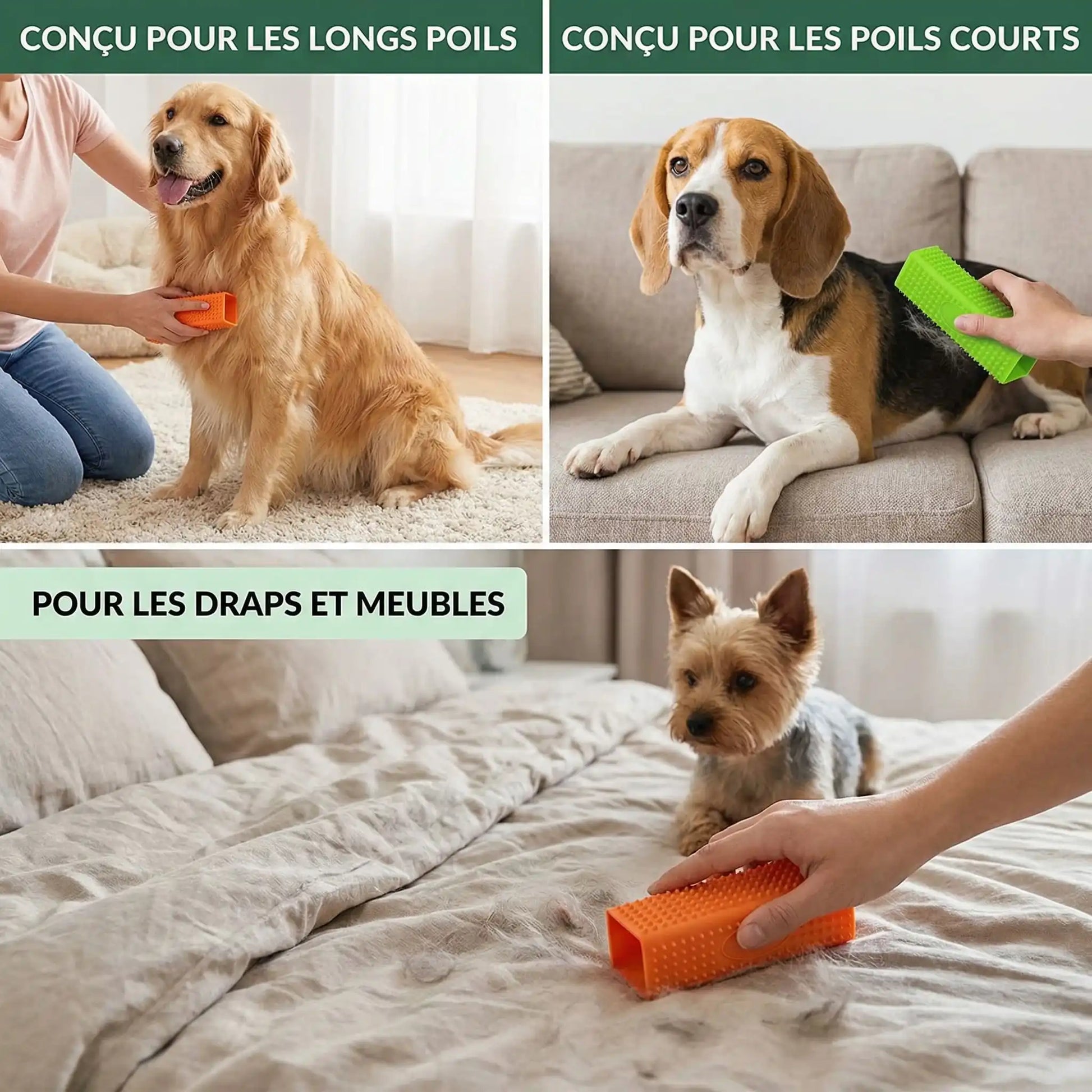 brosse a chien en silicone et les caracteristiques