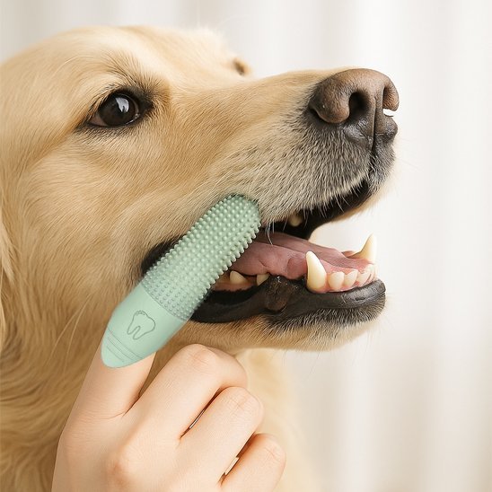 Brosse a dent chien | DentaPet - Royaume aniwoof