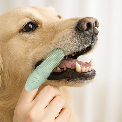 Brosse a dent chien | DentaPet - Royaume aniwoof