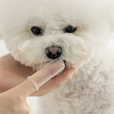Brosse à dent Chien | DentaPro - Royaume aniwoof