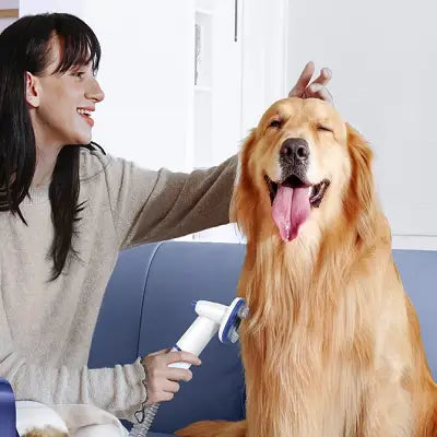 brosse aspirante chien poil long