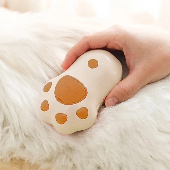 Brosse chien couleur beige