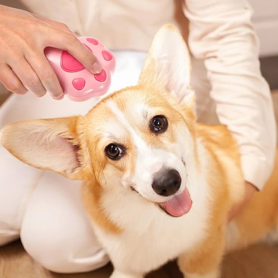 Brosse chien en forme de patte chien