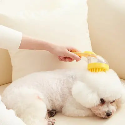 brosse chien pour shampoing pour chien