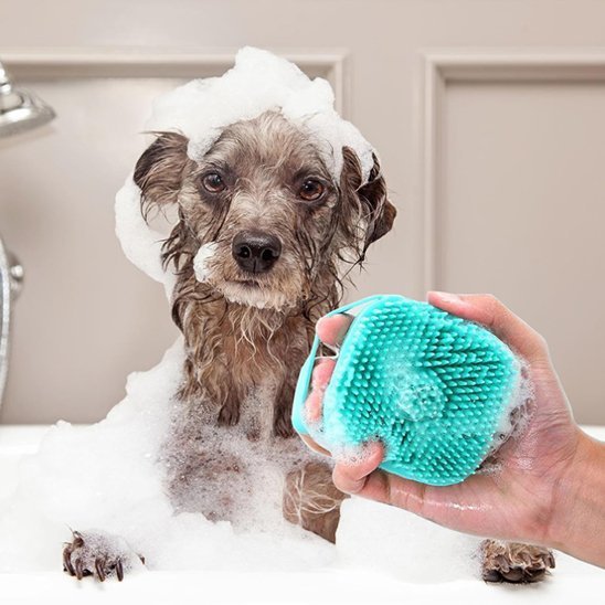 Brosse chien | Premium Anti - Mue - Royaume aniwoof