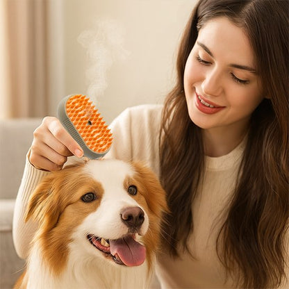 brosse pour chien avec poigner amovible     