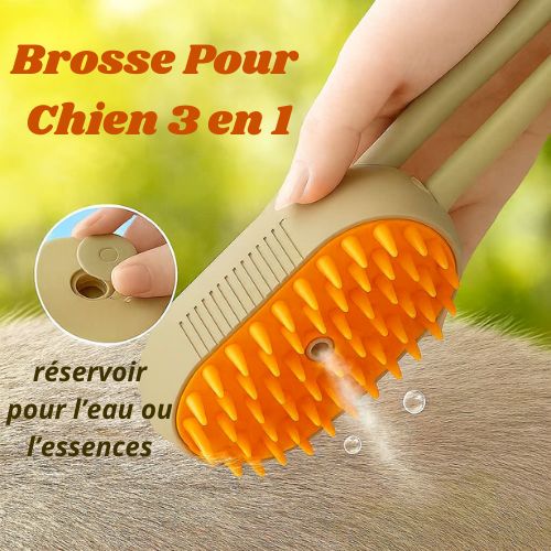 brosse pour chien avec reservoir