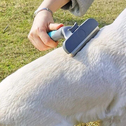 Brosse pour chien poil long | DémêlMax - Royaume aniwoof