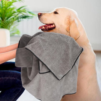 chien et maitre utilise une serviette pour toilettage chien