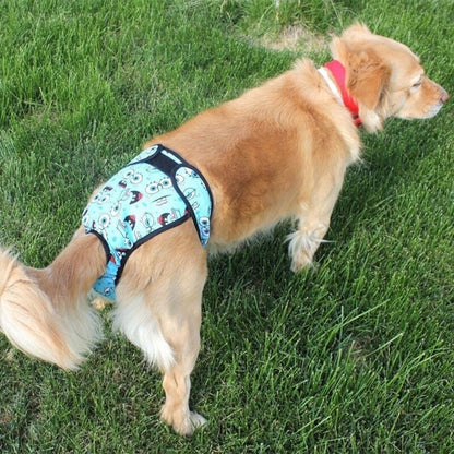 chien portant couche chien bleu