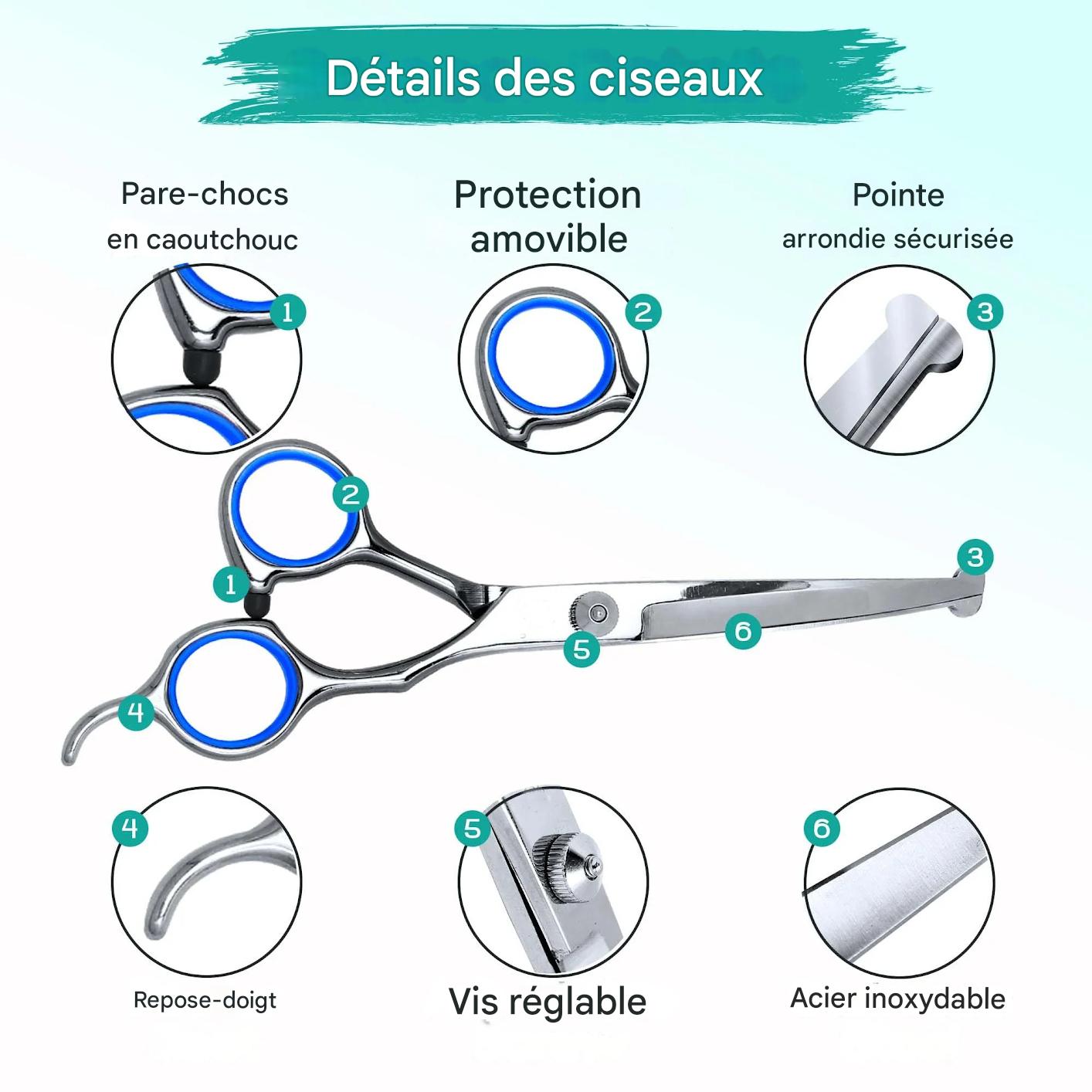 ciseaux toilettage chien et les caracteristiques