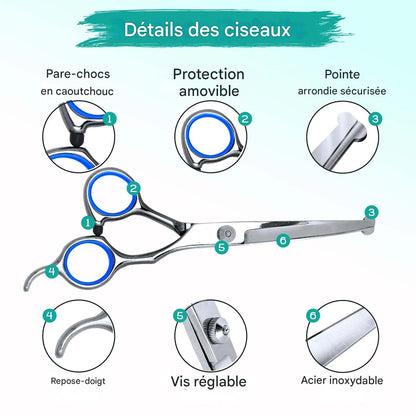 ciseaux toilettage chien et les caracteristiques