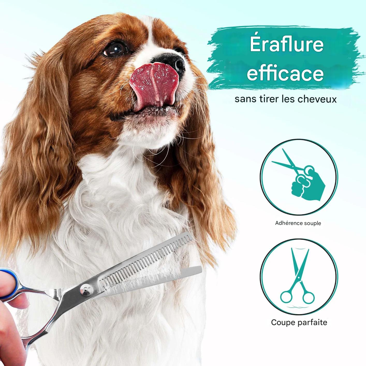 ciseaux toilettage chien securitaire et ergonomique