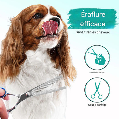 ciseaux toilettage chien securitaire et ergonomique