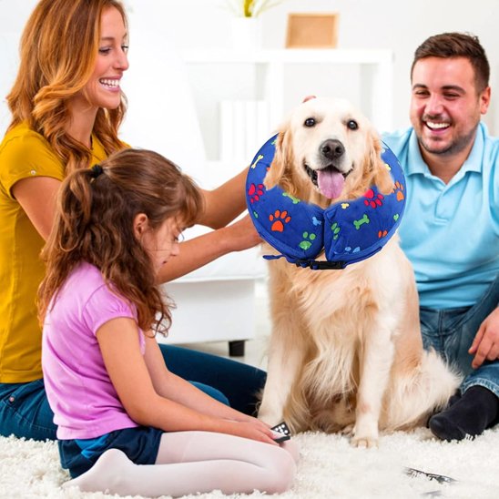 Collerette chien bleu et motif patte de chien