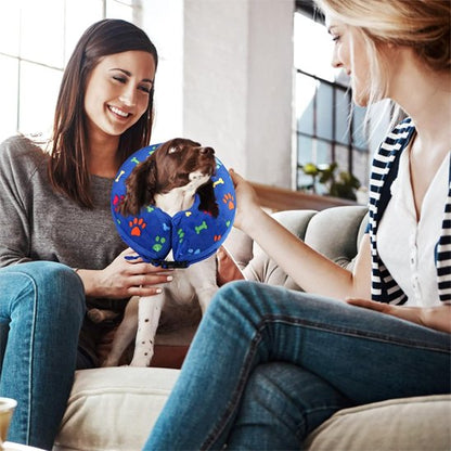 Collerette chien bleu sur un chiot