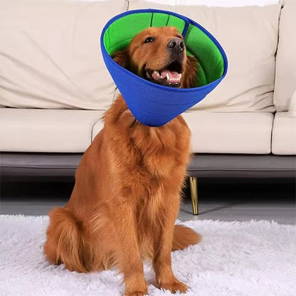 Collerette chien couleur bleu
